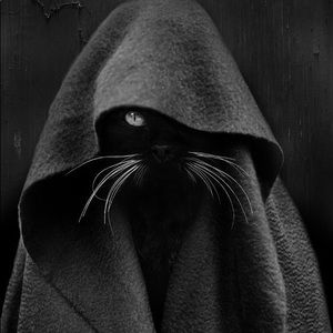 Meet your Posher, Asche